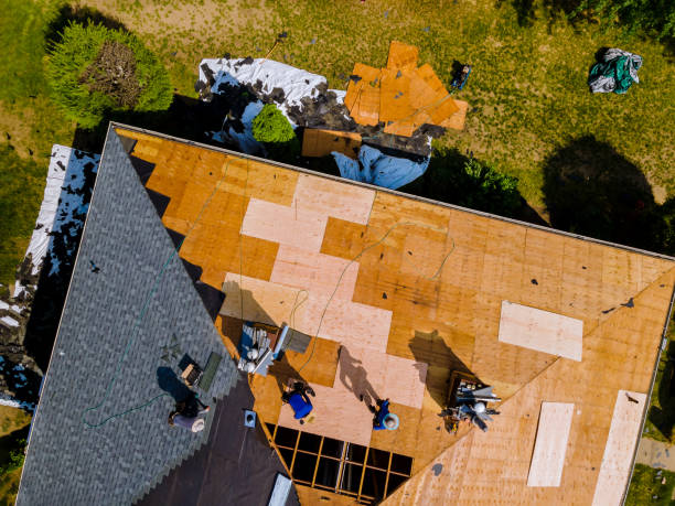 Best Roof Gutter Cleaning  in Hazel Dell, WA